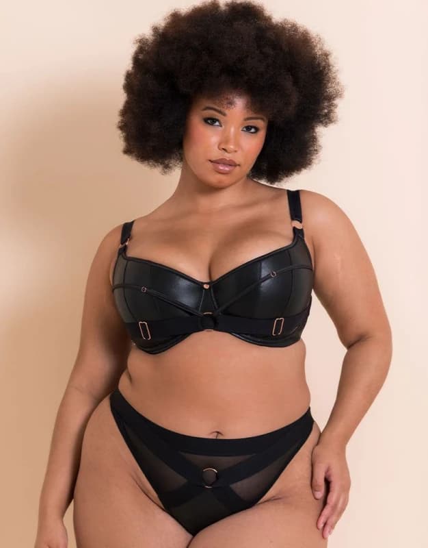 Scantilly Womens Harnessed Padded Half Cup Bra in Black Size: 36GG Black Female 36GG