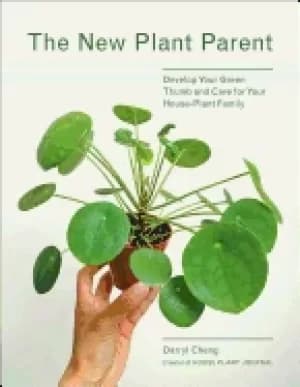 new plant parent develop your green thumb and care for your house plant fam