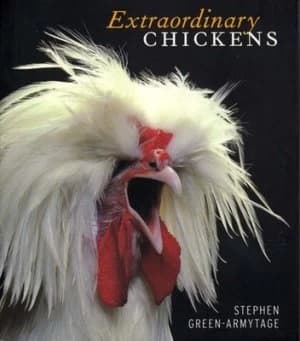 Extraordinary Chickens by Stephen Green-Armytage Paperback