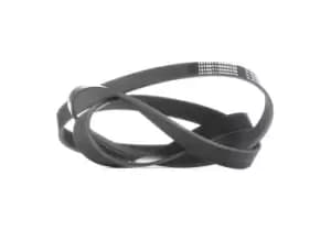 RIDEX V-ribbed belt 305P0205 Serpentine belt,Auxiliary belt HYUNDAI,NISSAN,KIA,H-1 Travel (TQ),H-1 Cargo (TQ),H-1 Kastenwagen (A1)
