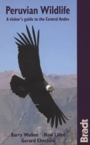 Peruvian wildlife by Gerard Cheshire