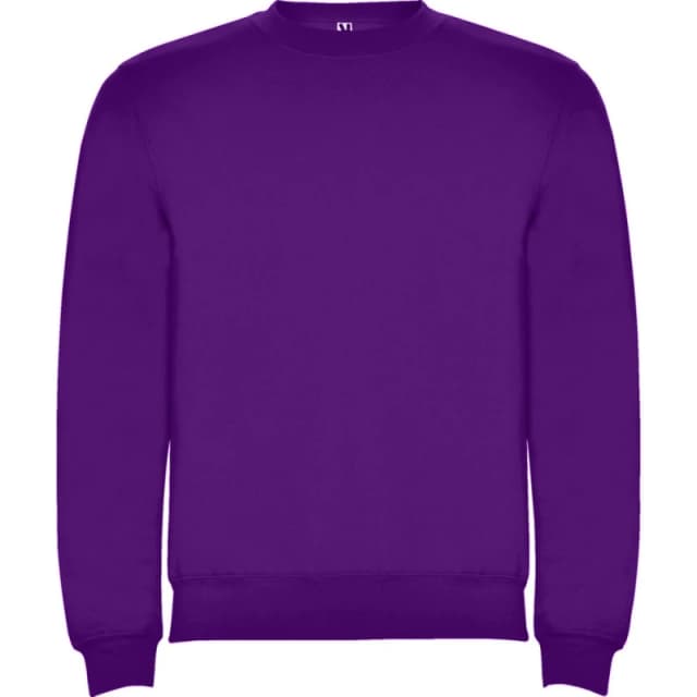 Roly Clasica boys's Children's sweatshirt in Purple