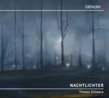 Tilman Sillescu: Nachtlichter