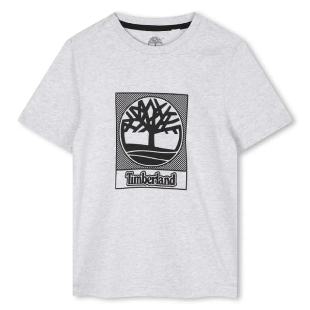 Timberland Kids ClassicLogo T-Shirt Grey male 10 Years
