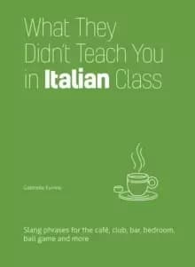 What They Didn't Teach You In Italian Class : Slang Phrases for the Cafe, Club, Bar, Bedroom, Ball Game and More