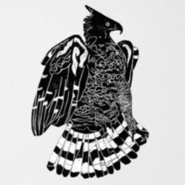 Crowned Eagle Vinyl