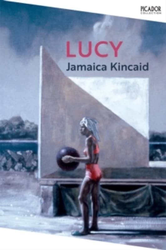 Lucy Paperback / softback