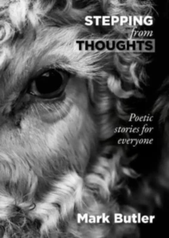 Stepping from Thoughts : Poetic stories for everyone Hardback