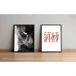 2PYSCT-025 Multicolor Decorative Framed MDF Painting (2 Pieces)