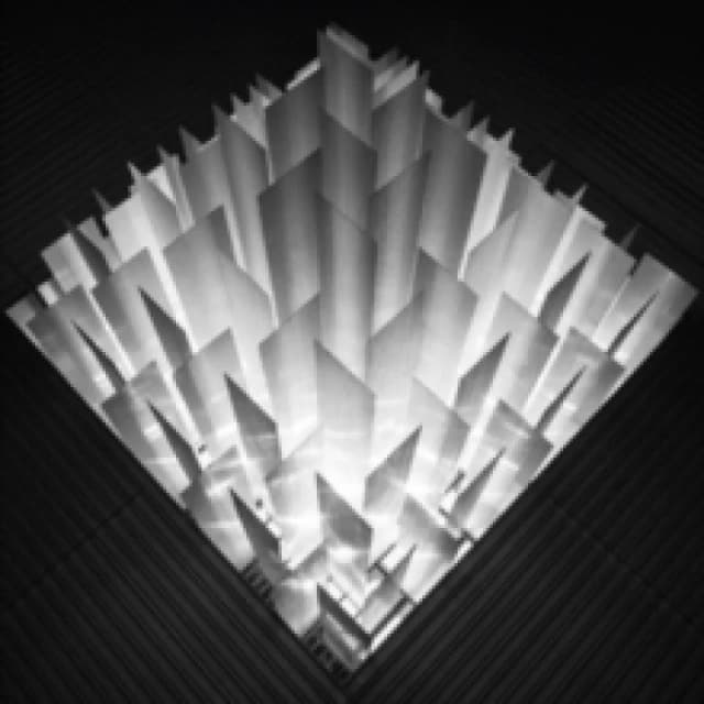 Altered Signals Vinyl