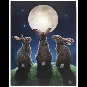 Small Moon Shadows Canvas Picutre by Lisa Parker