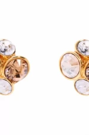 Ted Baker Ladies PVD Gold plated Lynda Jewel Cluster Stud Earring TBJ496-02-62