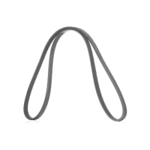 RIDEX V-ribbed belt RENAULT,TOYOTA,NISSAN 305P0202 56992PT0505,56992PT0J01,56992PT0J02 11920BX005,7700850114,9936421070,99364210708P,9936430940