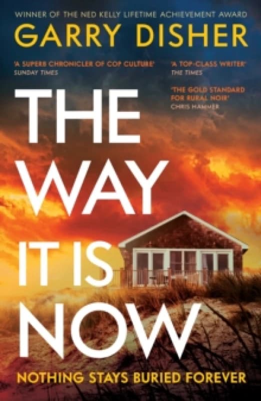 The Way It Is Now : a totally gripping and unputdownable Australian crime thriller Paperback / softback