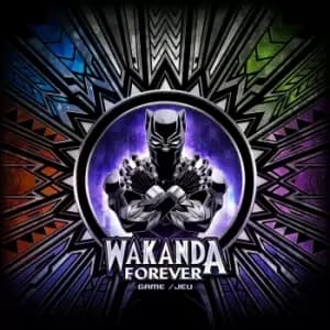 Marvel Wakanda Forever Dice Rolling Game
