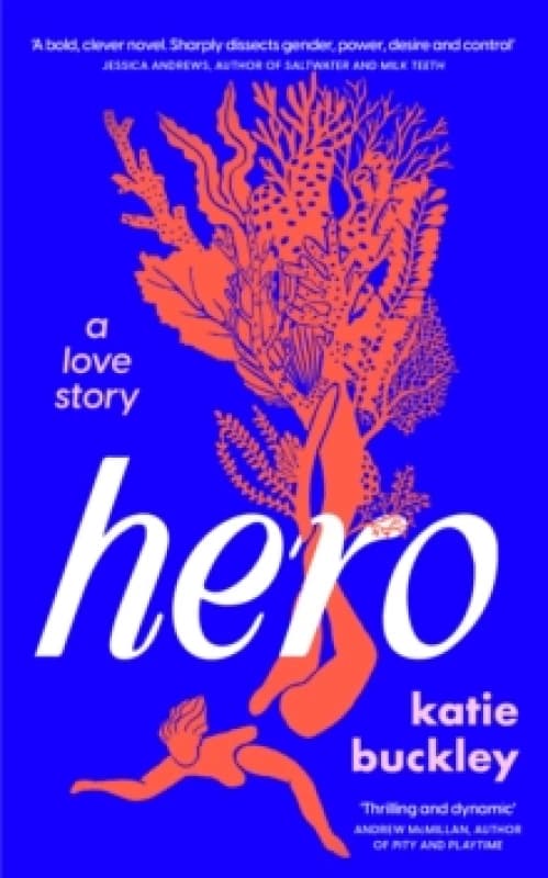 Hero. Hardback. By Katie Buckley Books