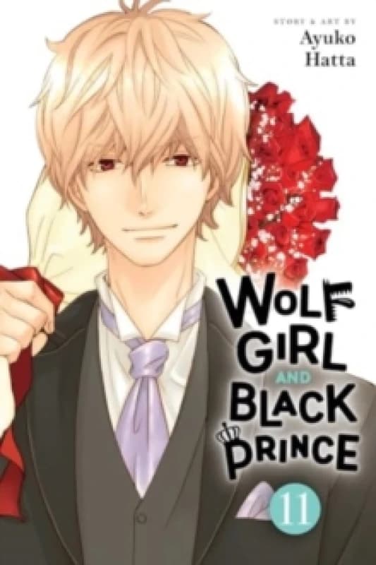 Wolf Girl and Black Prince, Vol. 11 Paperback / softback