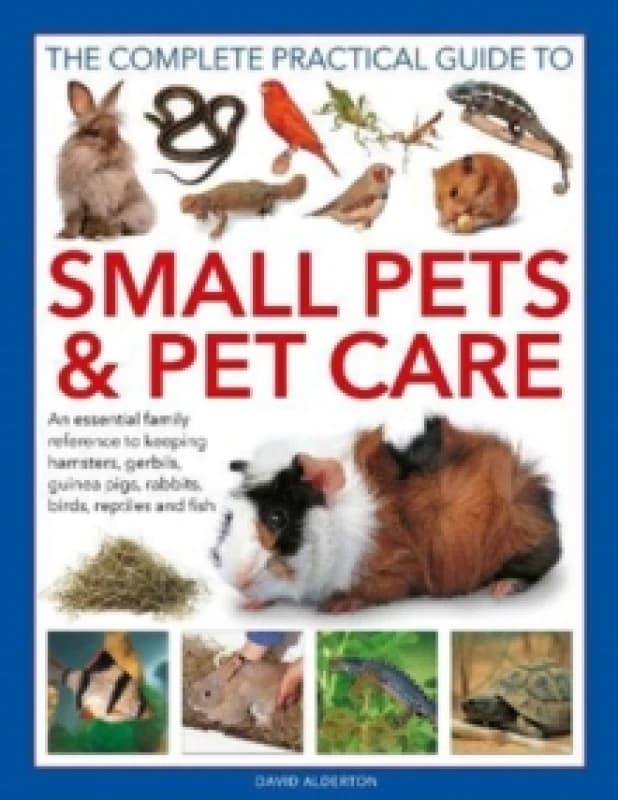 Small Pets and Pet Care, The Complete Practical Guide to : An essential family reference to keeping hamsters, gerbils, guinea pigs, rabbits, birds, re