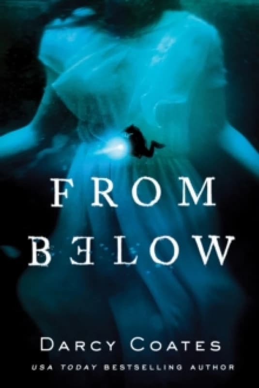 From Below Paperback / softback