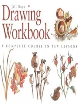 Drawing Workbook by Jill Bays Book