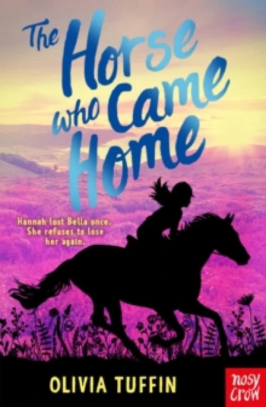 The Horse Who Came Home Paperback / softback