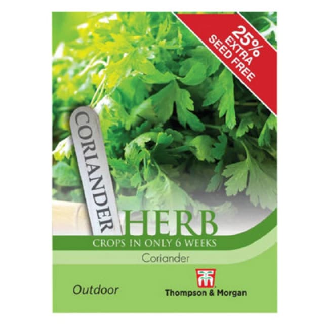 Thompson & Morgan Herb Coriander 1 Seed Packet (150 Seeds)