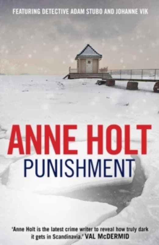 Punishment Paperback / softback