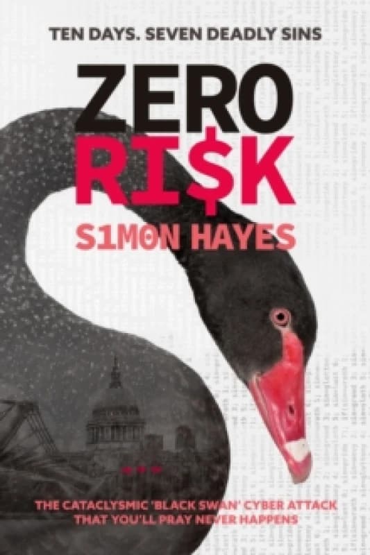 Zero Ri$k Paperback / softback