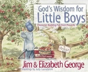 Gods Wisdom for Little Boys by Jim George Hardback