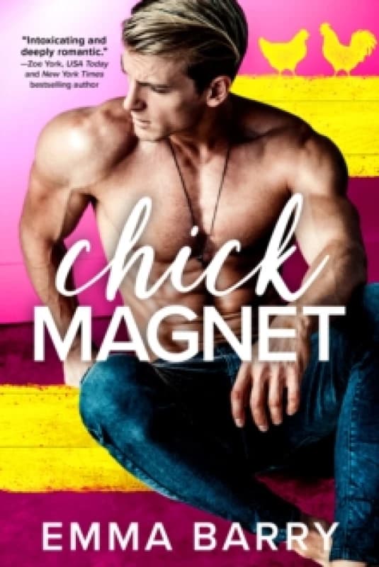 Chick Magnet Paperback / softback