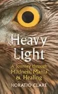 heavy light a journey through madness mania and healing
