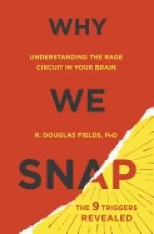 why we snap understanding the rage circuit in your brain