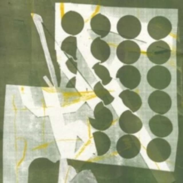 To have several lives Vinyl