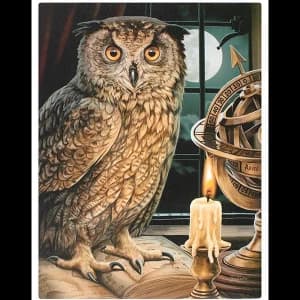 Small The Astrologer Canvas Picture by Lisa Parker