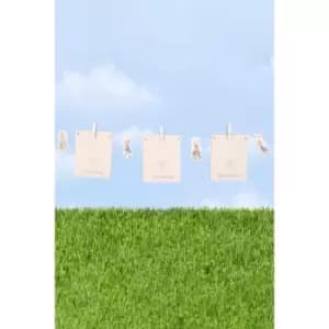 Peter Rabbit Photo Banner