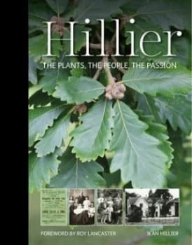Hillier by Jean Hillier Hardback