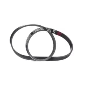 RIDEX V-ribbed belt BMW,FIAT 305P0305 11286550645,11287795144,64557795144 6550645,7795144,46811241,71719034