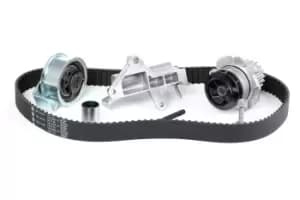 INA Water Pump + Timing Belt Kit VW,AUDI,FORD 530 0090 30 038109119L,038109119N,038109119P 038109119S,038121011C,038121011CX,038121011D,038121011G