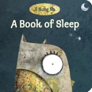 book of sleep