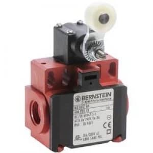 Limit switch 240 V AC 10 A Pivot lever momentary B