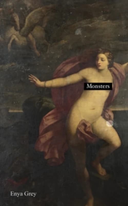 Monsters. Paperback. By Enya Grey Books