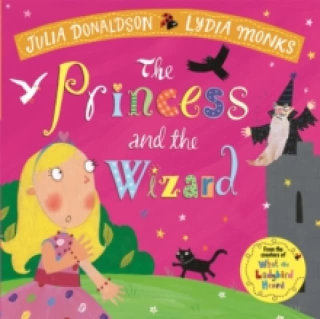 princess and the wizard 9781509862719