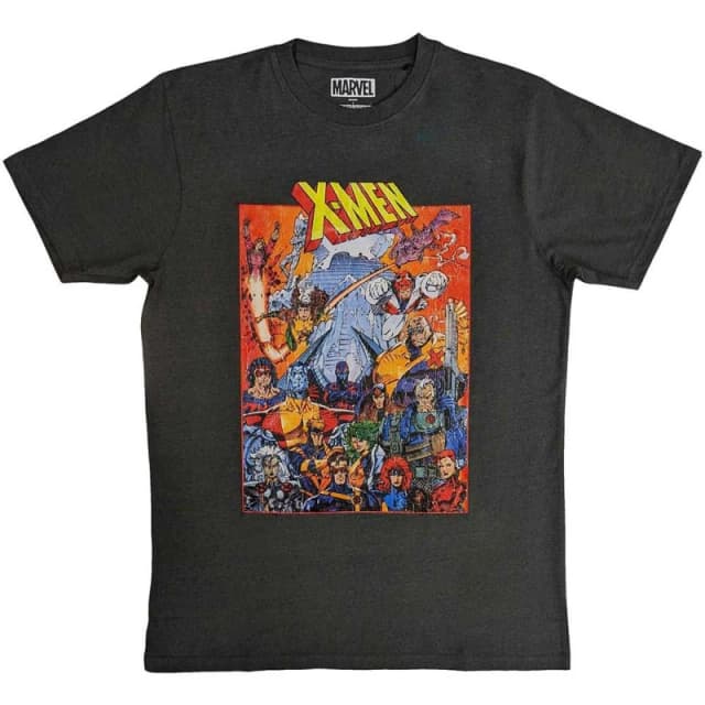 X-Men Mens Characters T-Shirt in Charcoal Size: Medium Charcoal Male M