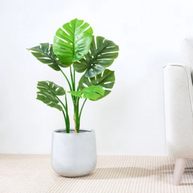 MCC Direct Artificial Plant Monstera Tree Indoor House Plant 80Cm