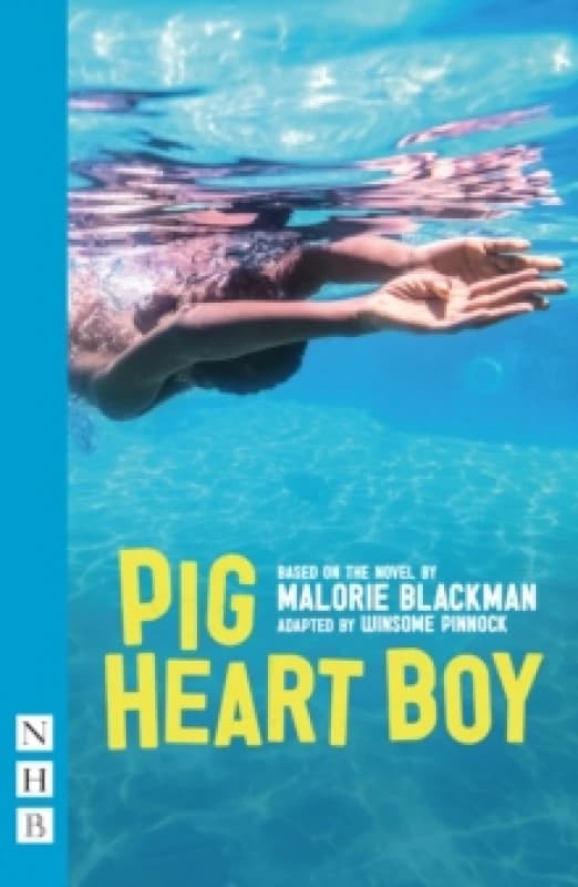 Pig Heart Boy Paperback / softback