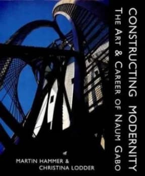 Constructing Modernity by Martin Hammer Hardback