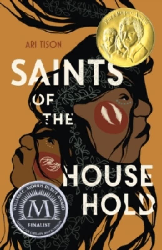 Saints of the Household. Paperback. By Ari Tison Books