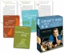 Cesar's Way Deck : 50 Tips for Training and Understanding Your Dog