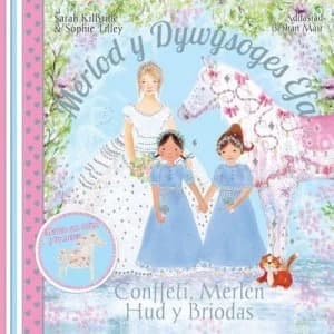 Conffeti Merlen Hud Y Briodas by Sarah Kilbride Book