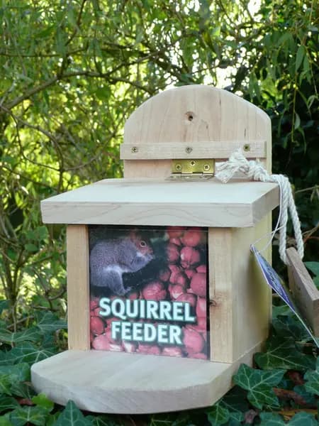 Squirrel Feeder